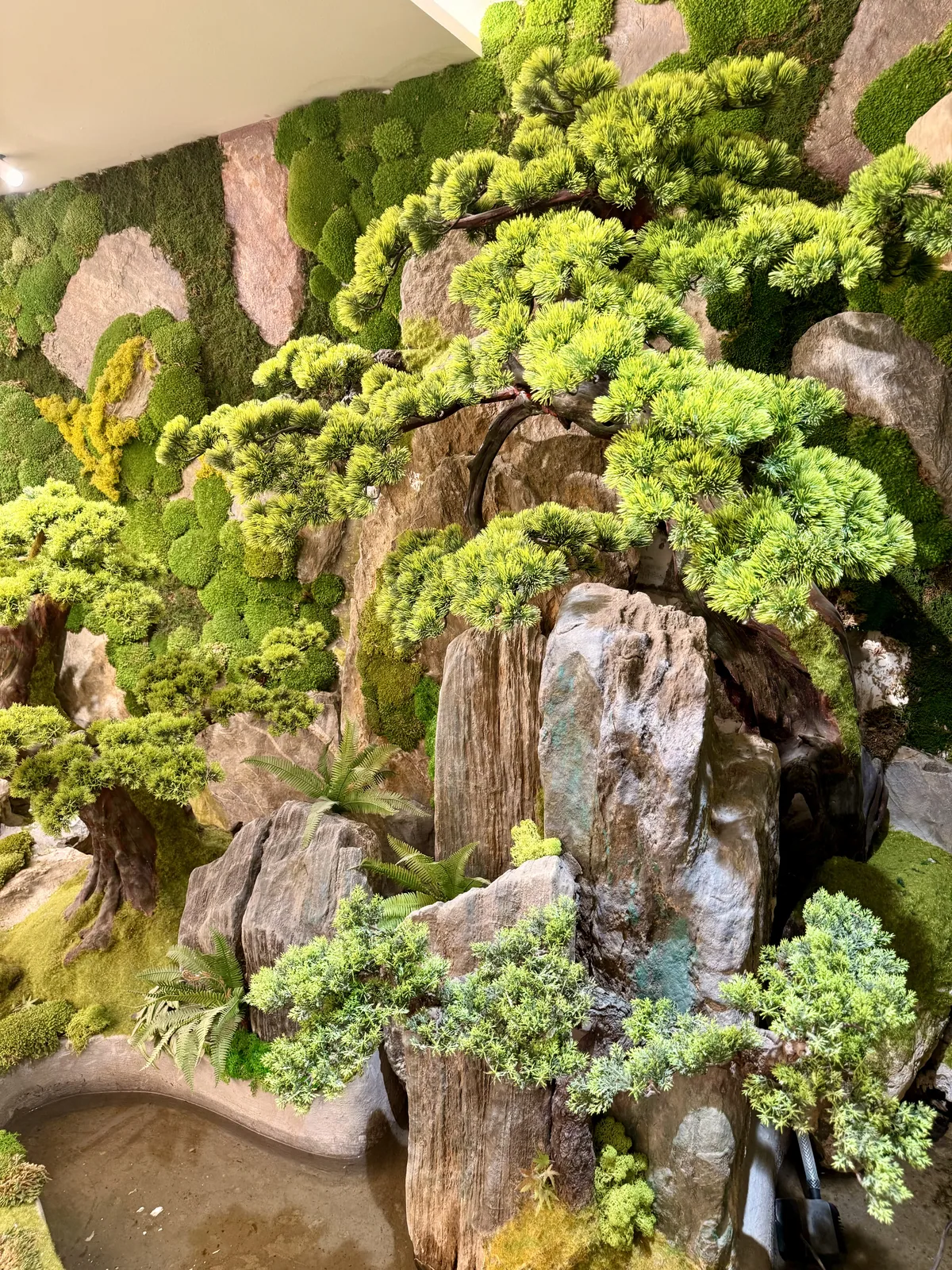 The stone and bonsai garden